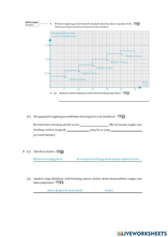 Bab 6 sokongan pertumbuhan