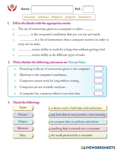 Computer worksheet