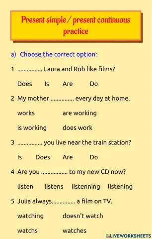 Present simple & present continuous practice 2
