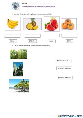 Diverisdad e importancia de las plantas con semillas