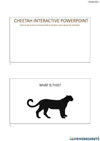 Cheetah powerpoint