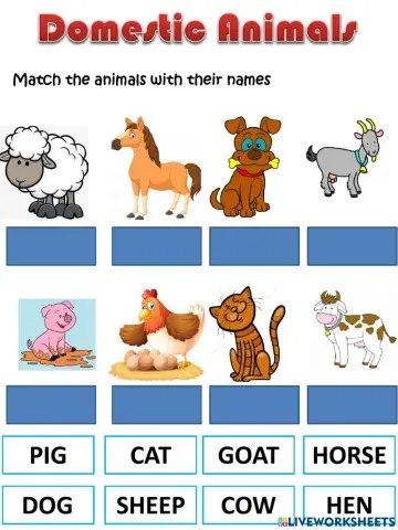 Domestic animals and colors