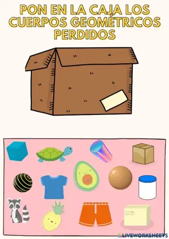 Conocimiento de figuras y cuerpos geométricos