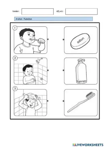 Pd-fungsi alatan kebersihan diri