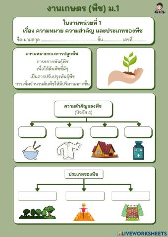 ใบงาน เรื่อง ความหมาย ความสำคัญ ประเภทของพืช (ม.1) 