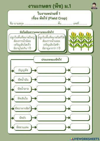 ใบงาน เรื่อง พืชไร่ (ม.1)