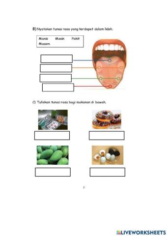 Integrasi sensori rasa