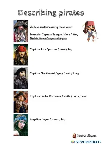 Describing pirates