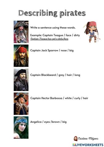 Describing pirates