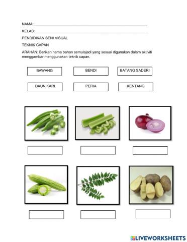 Pendidikan seni visual