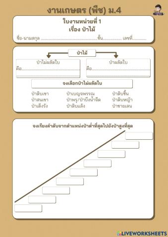 ใบงาน เรื่อง ป่าไม้ (ม.4)