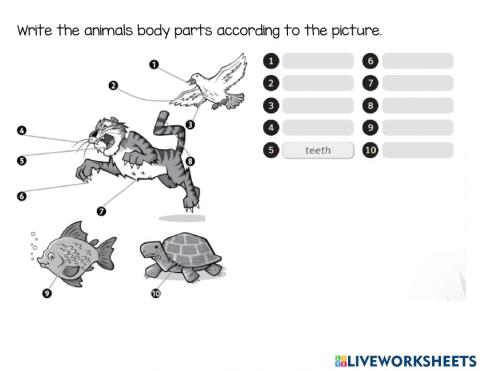 Animals body parts T3 UNIT2