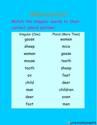Irregular nouns