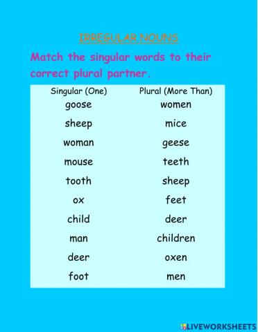 Irregular nouns