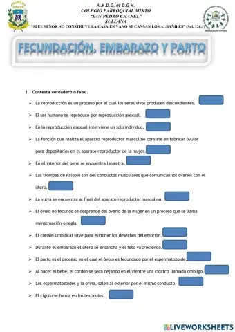 Fecundación, Embarazo y Parto