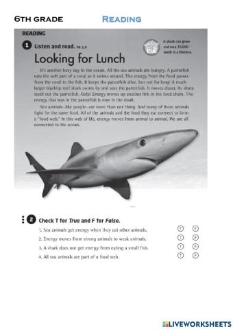 6th Grade 28th Reading