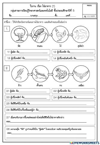 โซ่อาหาร 1