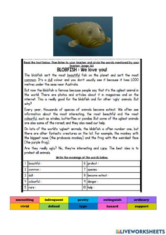 Blobfish 1