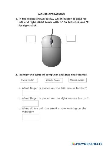 Computer Mouse