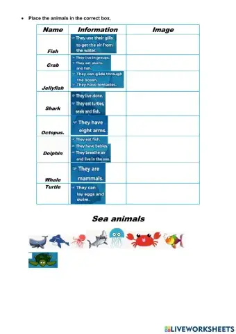 What can you find in the sea?