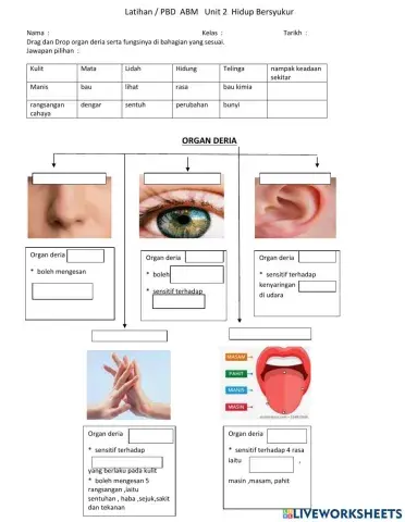 Latihan Amalan Bahasa Melayu