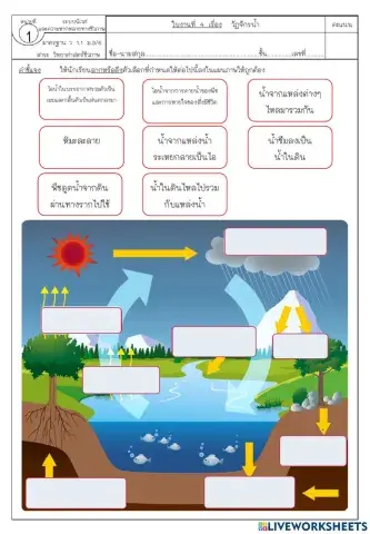 ใบงานที่ 4 วัฏจักรน้ำ
