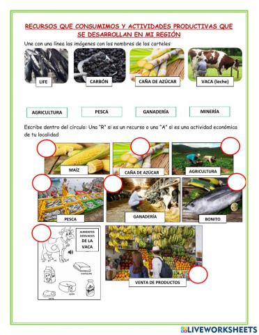 Recursos que consumimos y actividades productivas que se desarrollan en mi región