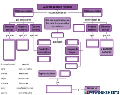 Sistemas reproductores