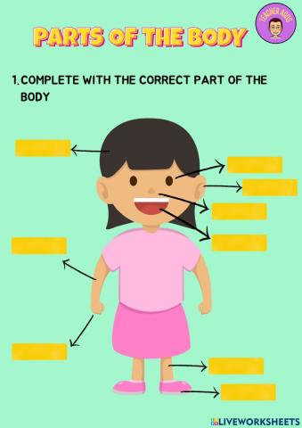 Body parts
