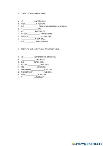 Have has don't have doesn't have