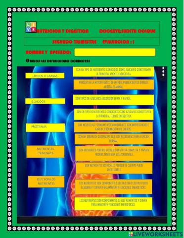 Nutricion y digestion
