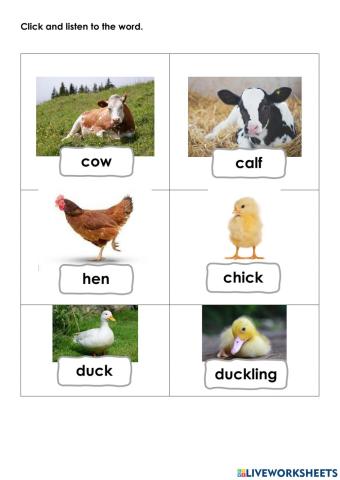 Listening and speaking (animal young and adult)