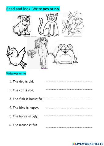 Read and write Yes-No