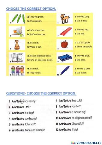 Verb to be - choose the correct option