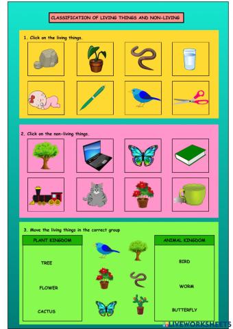 Living things and non-living things
