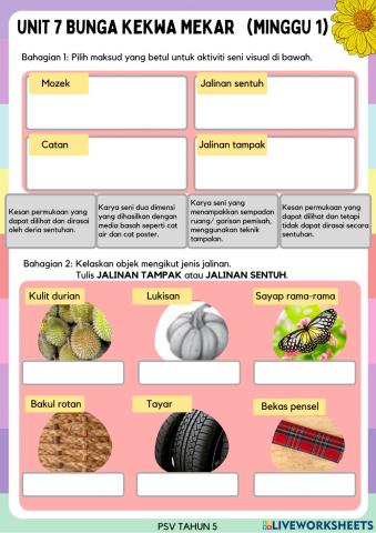 Bunga Kekwa Mekar Minggu 1