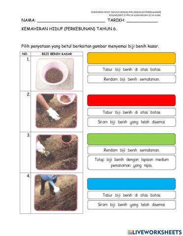 Menyemai biji benih kasar tahun 6 PPKI