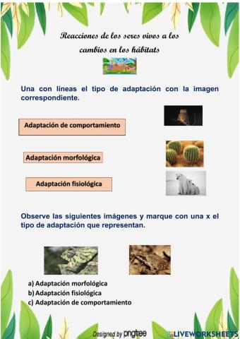 Adaptaciones de los seres vivos a los hábitats