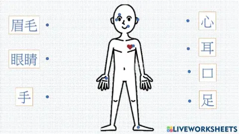 字的故事1總複習 chinese characters 1 review