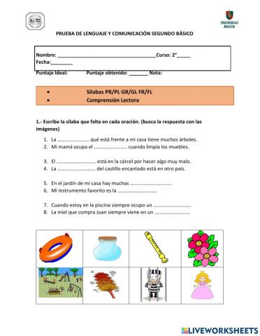 Prueba Primero Básicos