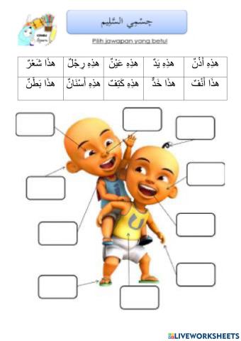 Anggota badan tahun 2