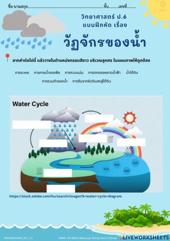 แบบฝึกหัดเรื่องวัฏจักรของน้ำ