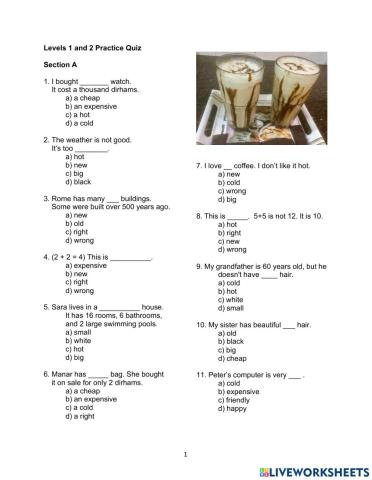 Beginner and Pre-Elementary English Practice Test