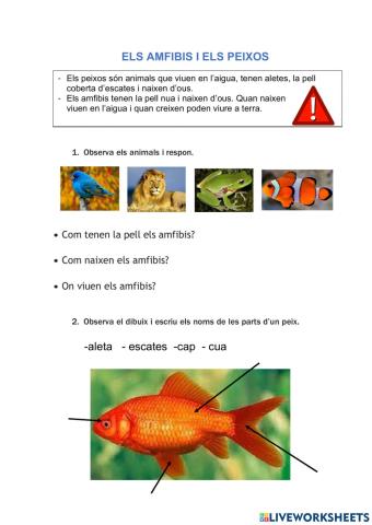 Els amfibis i els peixos
