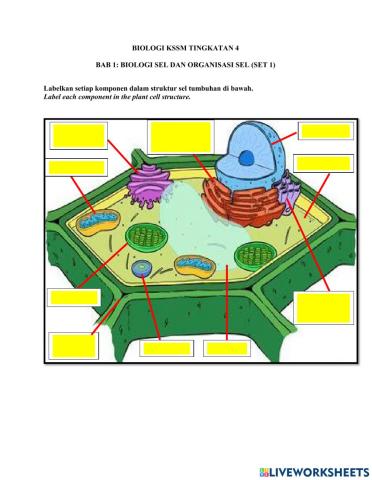 Biologi sel & organisasi sel