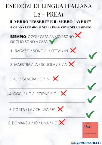 Verbo essere e verbo avere 2
