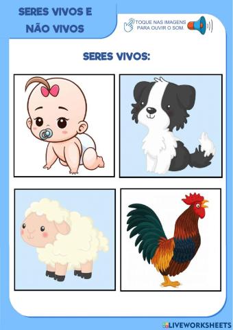 Seres vivos e não vivos 1