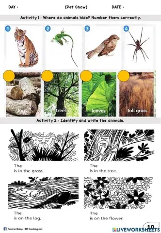 Pet Show (Number, Name the animals)