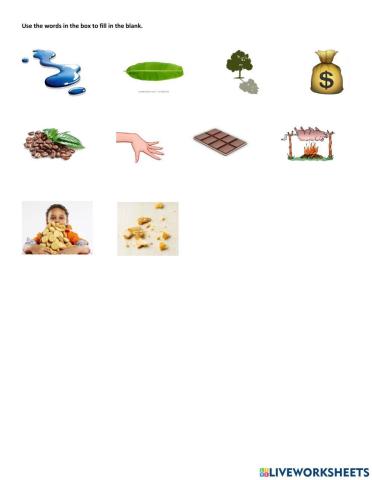 YL7 Lesson 14: Spelling TEST