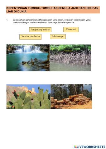 Kepentingan tumbuh-tumbuhan dan semula jadi dan hidupan liar